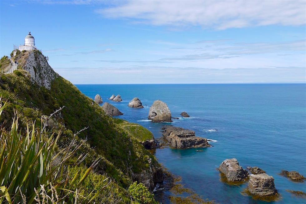 Aussichtspunkt kurz vor dem Nugget Point Lighthouse - Neuseeland Südinsel - Southern Scenic Route