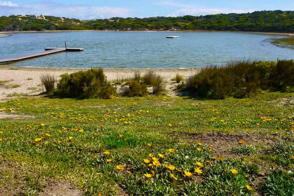 Extrem salzhaltiger Pool of Siloam in Beachport - South Australia