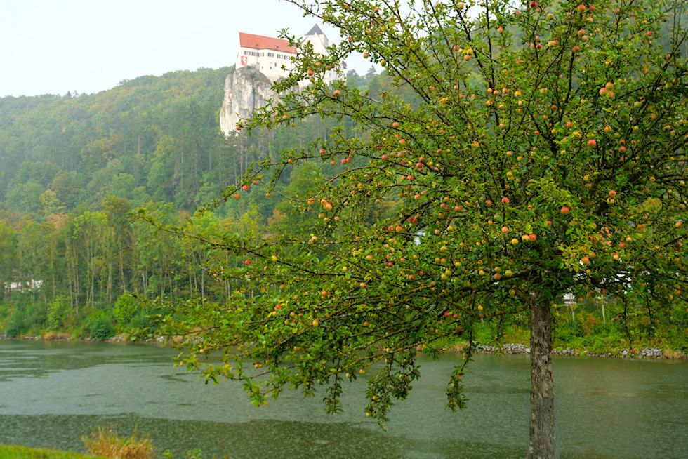 Ausblick auf das wunderschöne Schloss Prunn, Apfelbaum & Main-Donau-Kanal bei Einthal - Altmühltal, Bayern