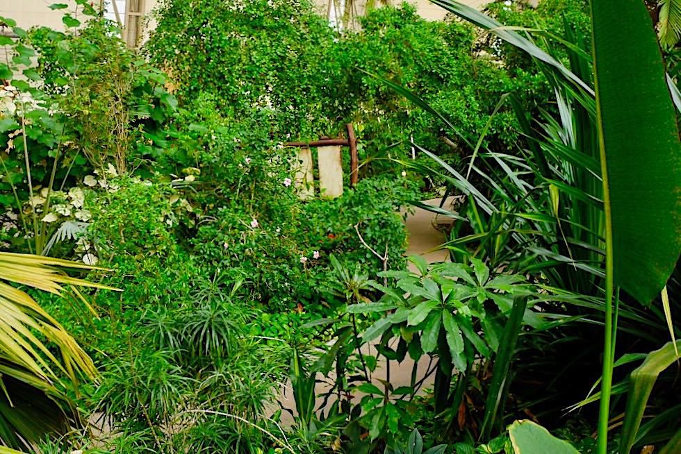 Tropical Island - Kleines Regenwald-Biotop in einer ehemaligen Luftschiffhalle - Brandenburg