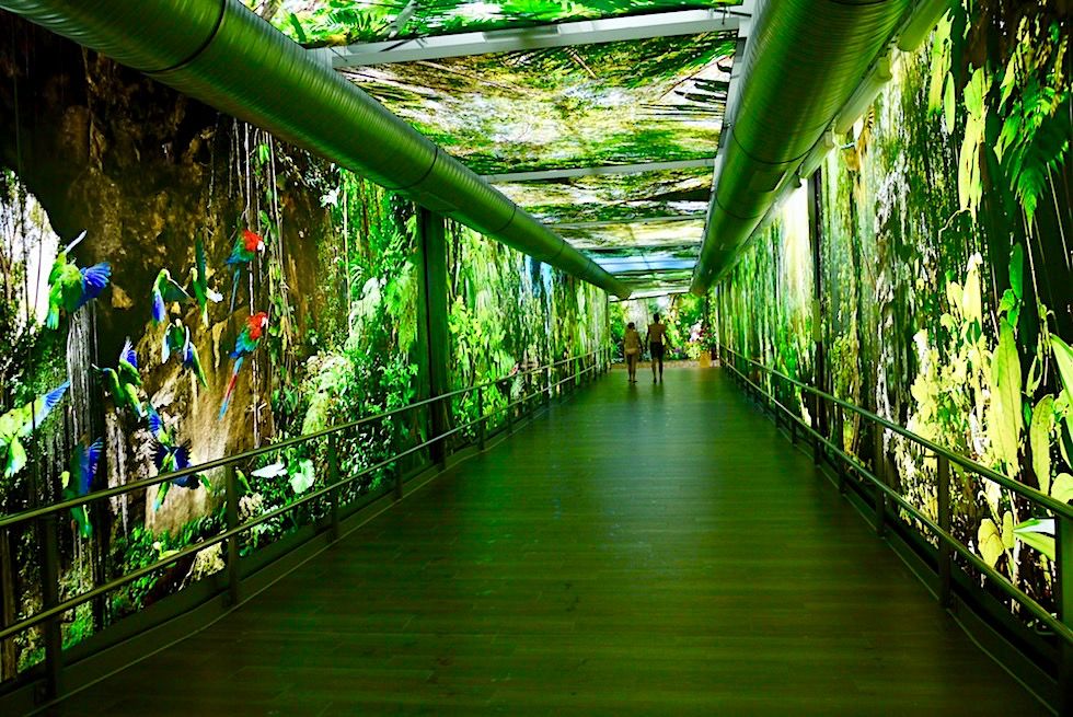 Amazonia - Leuchtende Tropensimulation: Durchgang von Halle zum Außenbereich - Tropical Islands, Brandenburg