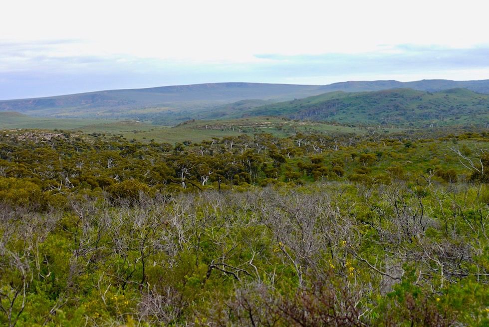 Ausblick Mt Lesueur Wanderung - Western Australia