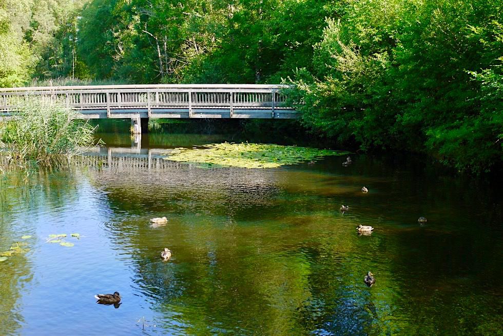 Bad Wurzach - Kurpark am Unteren Ried - Baden-Württemberg