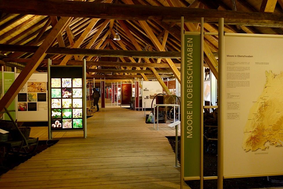 Bad Wurzach - Sehenswert: Torfmuseum Wurzacher Ried - Hochmoor - Baden-Württemberg