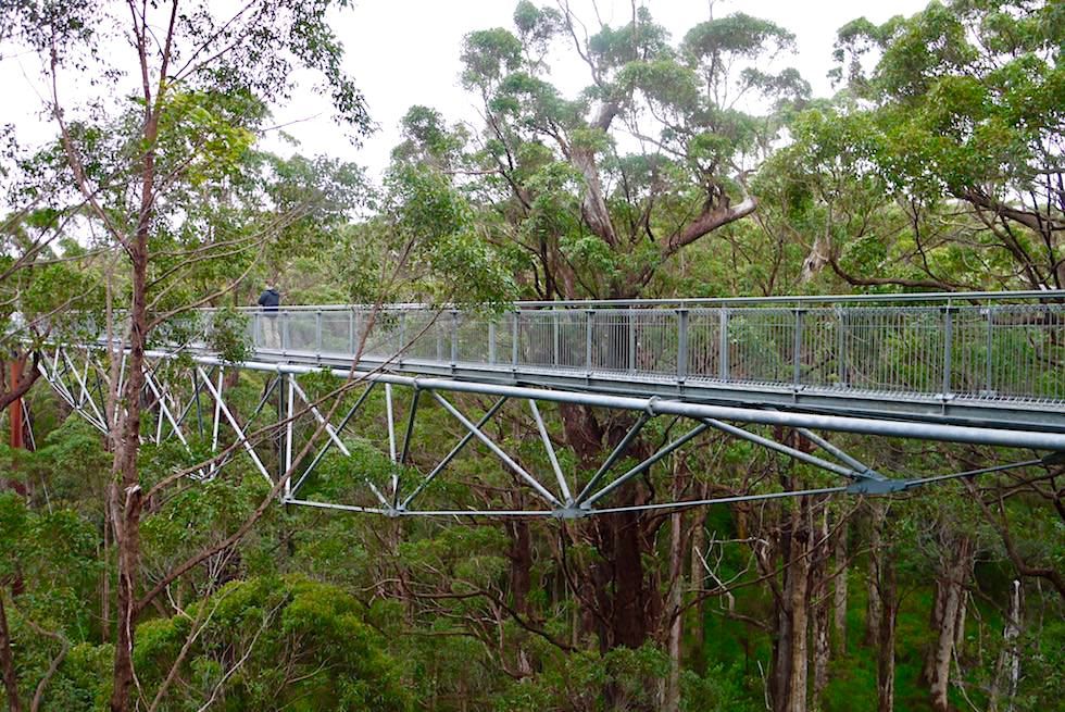 Stahlbrücke Konstruktion - Giant Valley Tree Top Walk - Western Australia