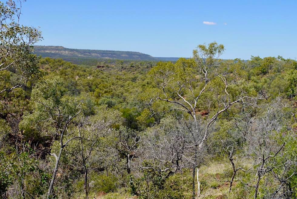 Ausblick vom Eagle Hawk Gorge Lookout - Porcupine Gorge National Park - Outback Queensland