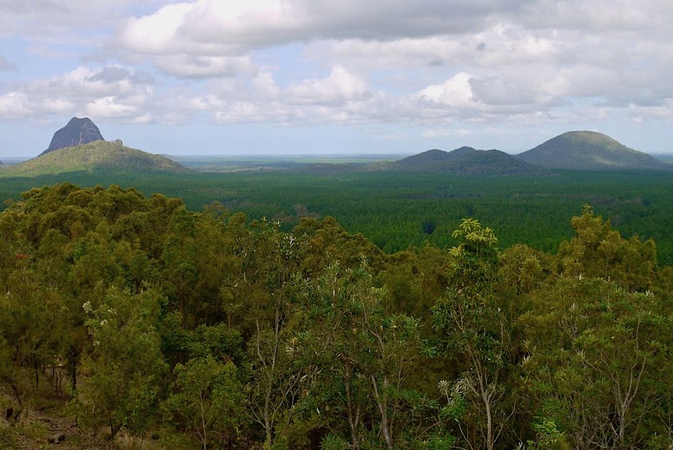 Glass House Mountains Lookout: Mt Tibrogargan, Trachyte Range, Mt Beerburrum - Sunshine Coast Hinterland - Queensland