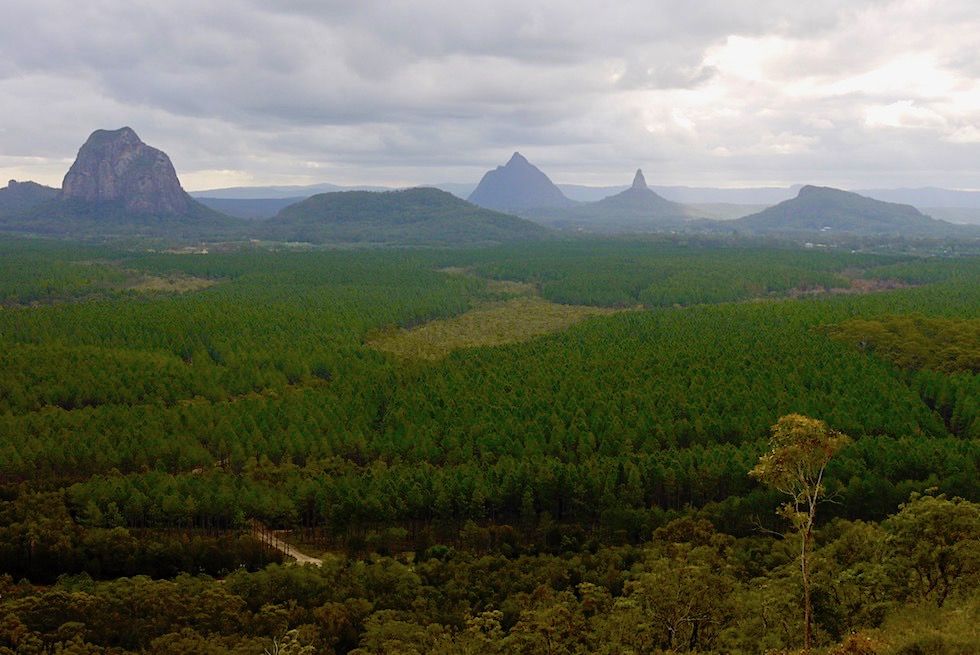 Glass House Mountains - Wild Horse Mountain: Fantastischer Ausblick auf alle Vulkanberge - Queensland
