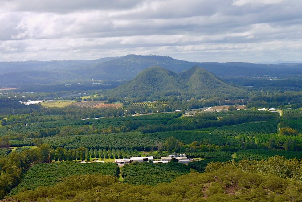 Glasshouse Mountains: Nt Ngungun - Gipfelausblick auf Mt Tunbubudla oder auch Twins - Queensland