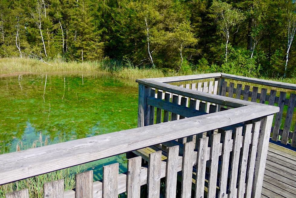 Haidgauer Quellseen - Aussichtsplattform - Wurzacher Ried - Baden Württemberg