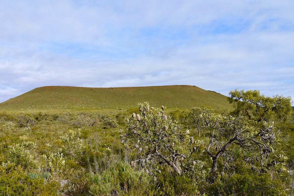 Blick auf Mount Michaud - Lesueur National Park - Western Australia