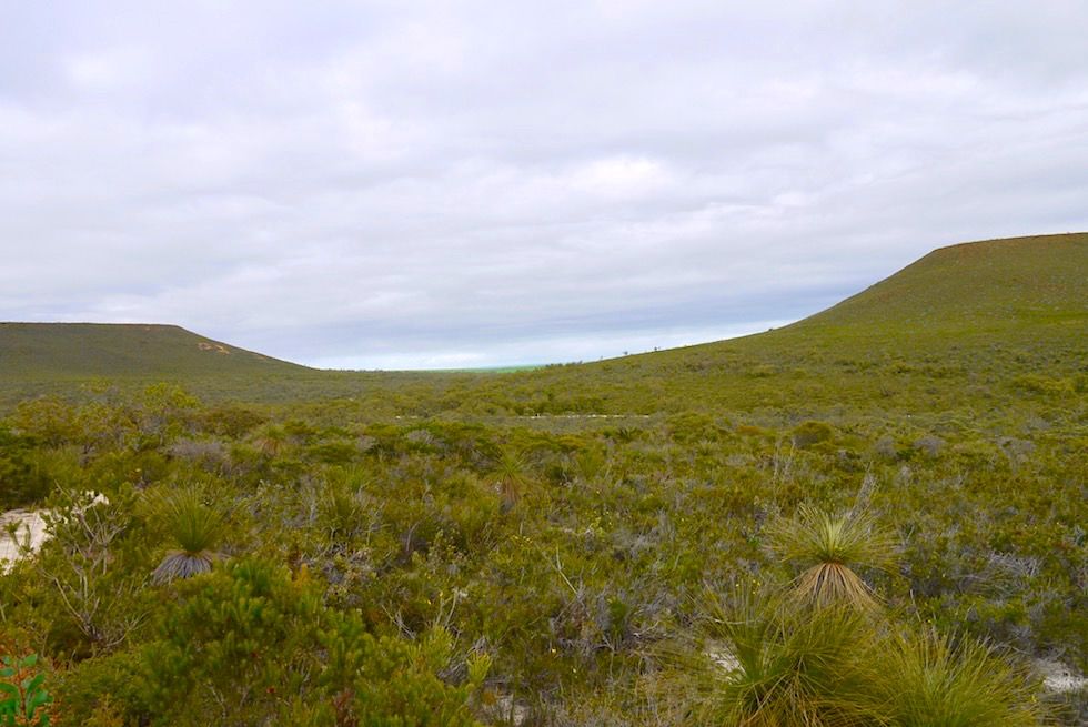Blick auf Mt Lesueur & Mt Michaud im Lesueur National Park - Western Australia