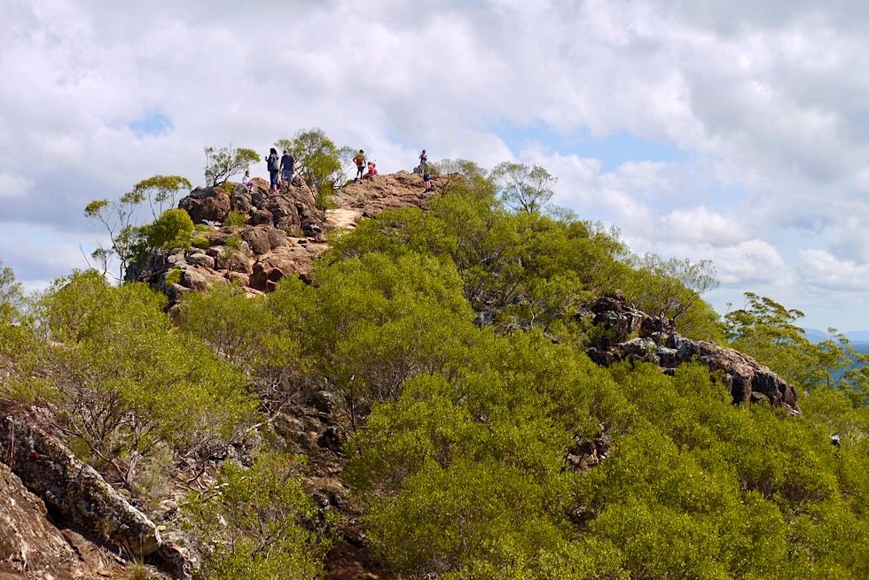 Mt Ngungun: auf dem Gipfel - Glass House Mountains - Sunshine Coast - Queensland