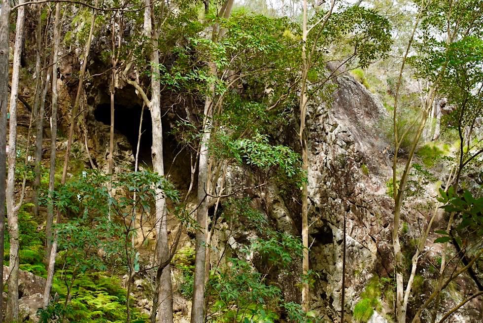Glass House Mountains: Mt Ngungun - Höhlen beim Aufstieg zum Gipfel - Sunshine Coast - Queensland