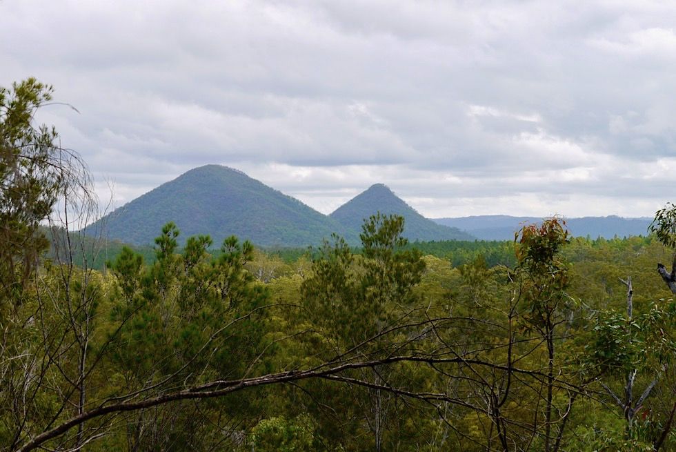 Mt Tibrogaran - Ausblick auf The Twins - Glasshouse Mountains - Queensland