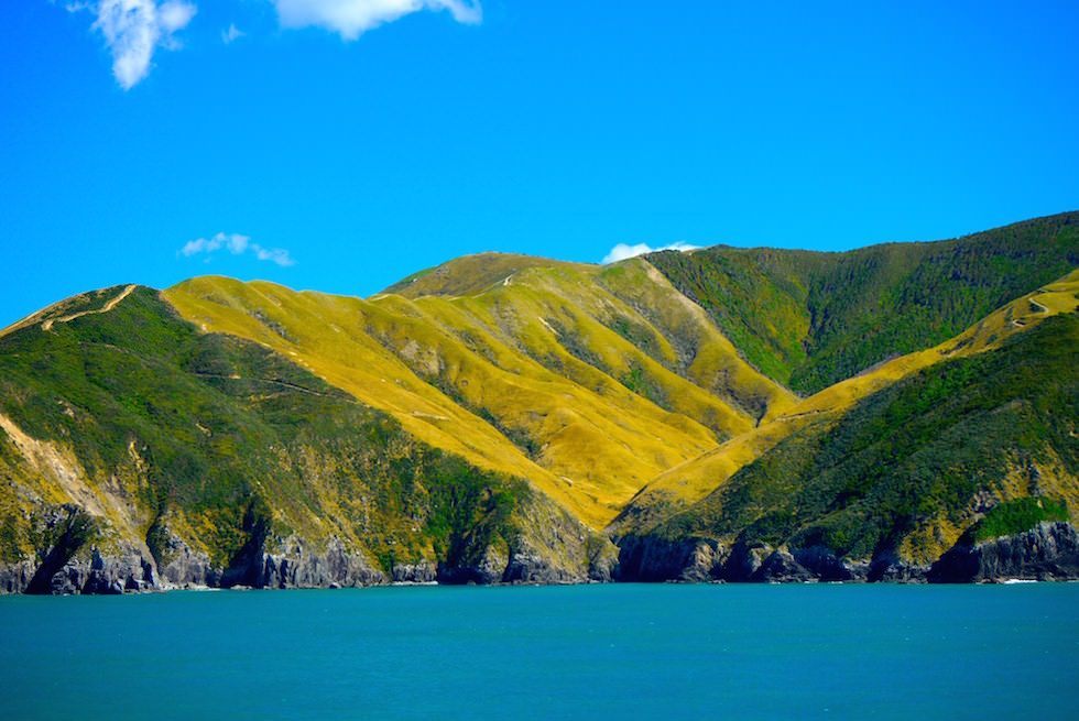 View from Inter-Island Ferry New Zealand