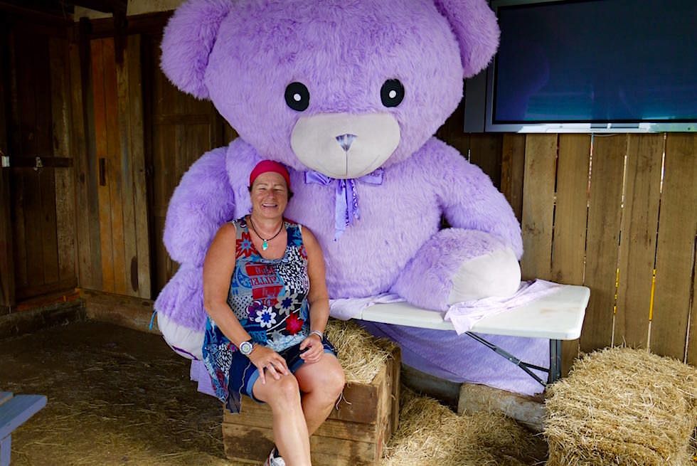 Petra & Lavendelbär - Bridestowe Lavender Farm - Tasmania