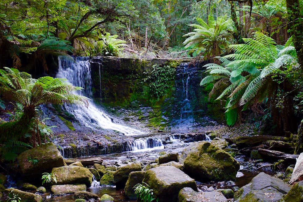 Blick auf Horseshoe Falls - Mt Field National Park - Tasmania - Tasmanien