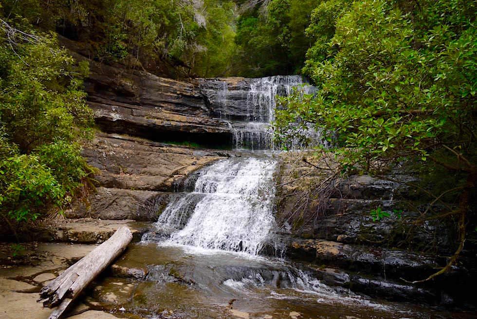 Lady Barron Falls - Mt Field National Park - Tasmanien