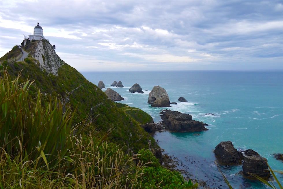 Ausblick Nugget Point Lighthouse - Catlins - Clutha - Neuseeland Südinsel