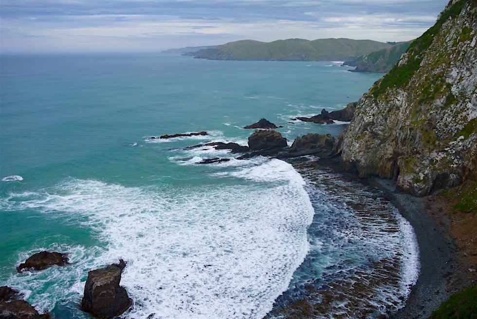 Steile Klippen - Nugget Point - Southern Scenic Route in Neuseeland auf der Südinsel
