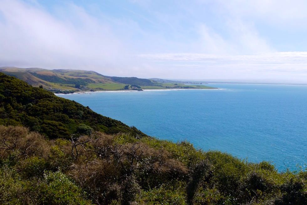 Blick Aussichtspunkt am Parkplatz - Nugget Point - Catlins - Neuseeland