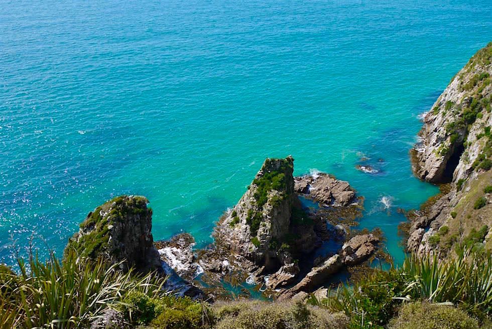 Tiefblicke vom Weg zum Nugget Point - Neuseeland - Southern Scenic Route