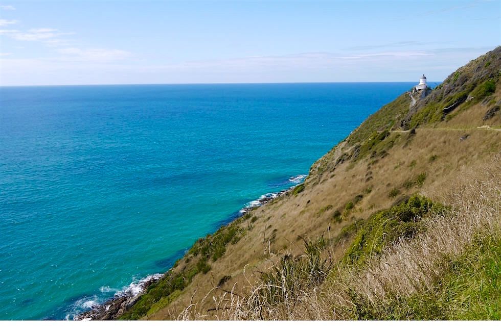 Auf dem Weg zum Nugget Point Lighthouse - Neuseeland Südinsel
