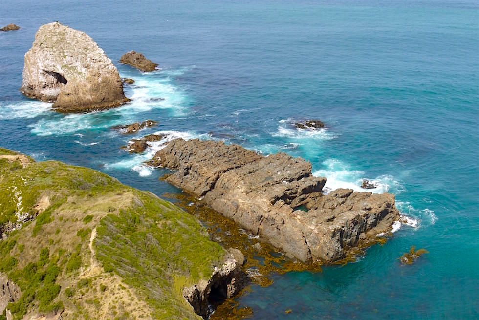 Felsformationen - Nugget Point - Neuseeland Südinsel