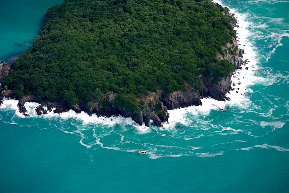 Die schroffe Küste von Whale Island - White Island Flights - Neuseeland Nordinsel