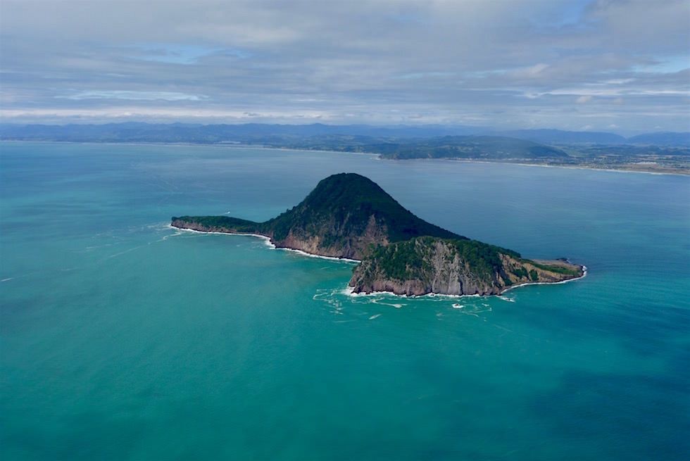 Whale Island oder Motuhora - White Island Flights - Neuseeland Nordinsel