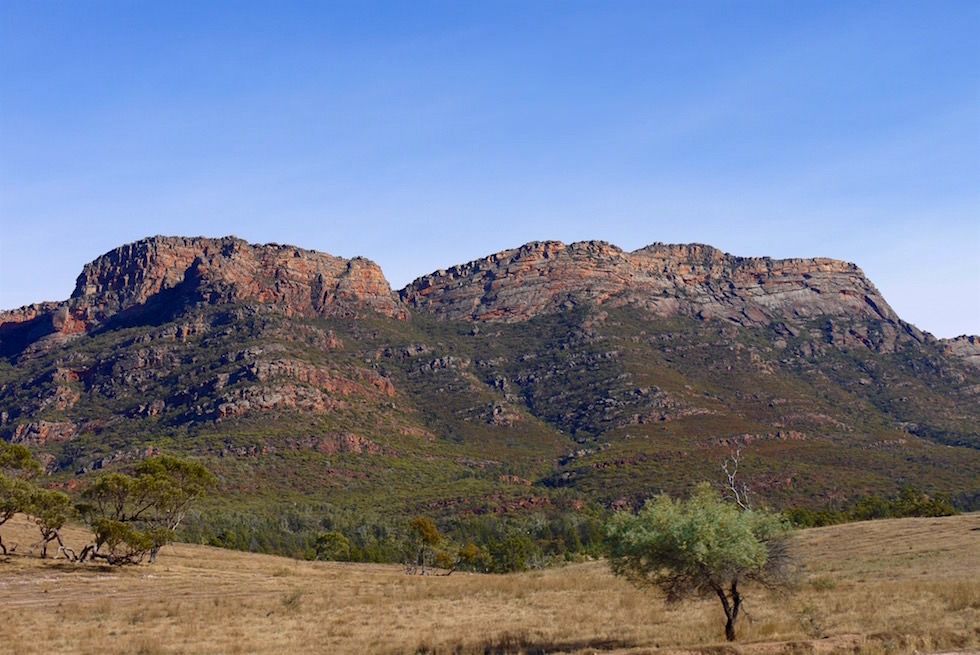 Blick auf Wilpena Pound - Flinders Ranges - South Australia