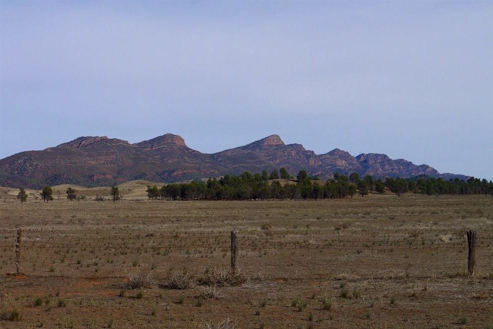 Rawnsley Park Station - Flinders Ranges - South Australia