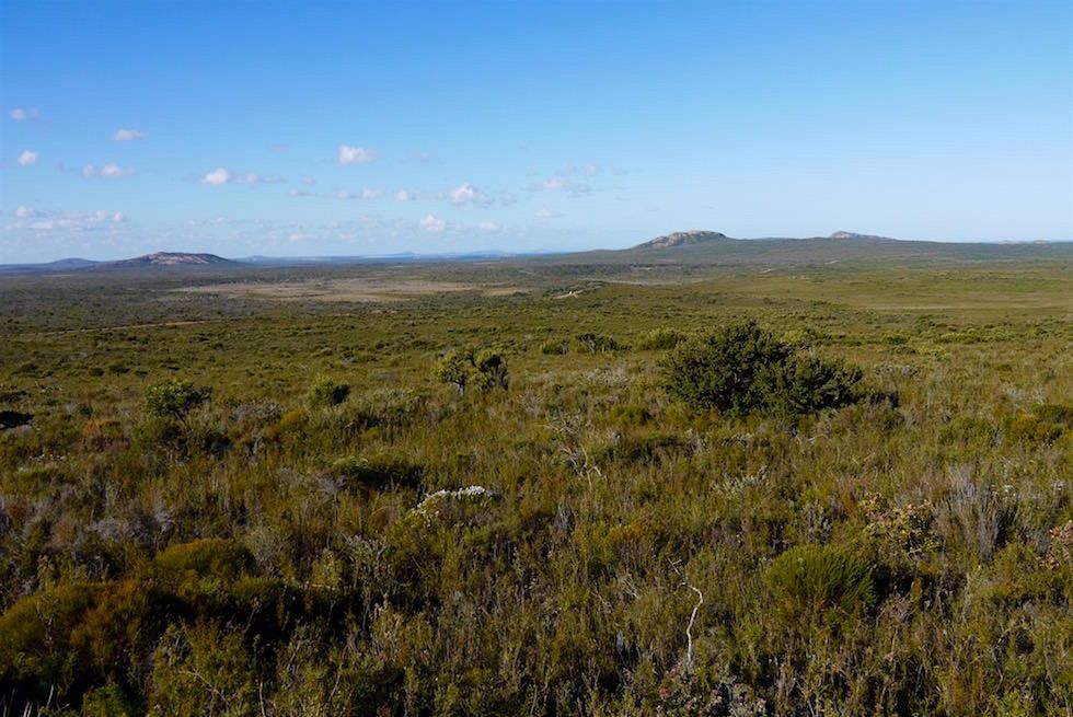 Blick in die Weite Landschaft des Cape Le Grand Nationalparks - Western Australia