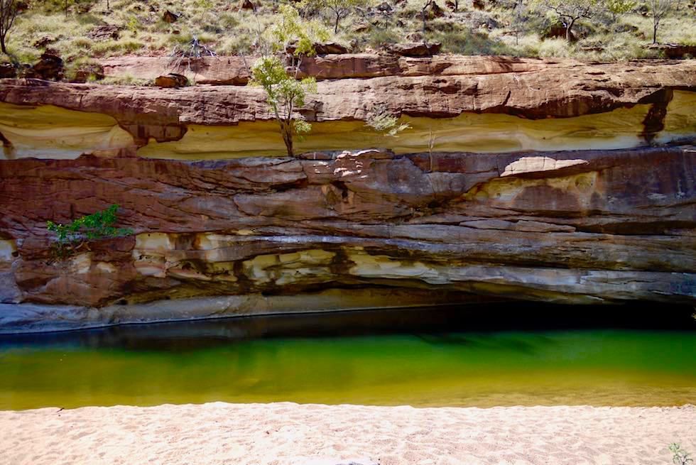 Leuchtender, klarer Porcupine Creek im Porcupine Gorge National Park & Farbige Sandsteinklippen - Queensland