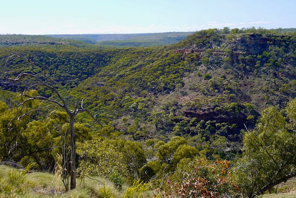 Porcupine Gorge - Ausblick vom Plateau - Outback Queensland