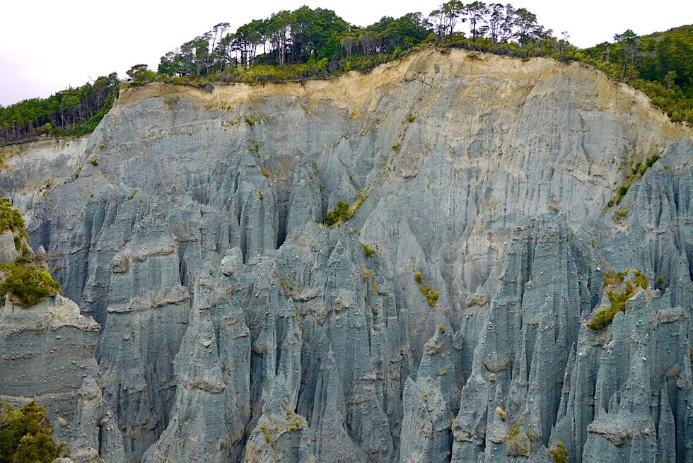 Putangirua Pinnacles - Atemberaubender Ausblick vom Pinnacle Lookout auf die Steilwand mit den vielen Felsnadeln - Eines der Cape Palliser Highlights - Südlichster Punkt auf der Nordinsel, Neuseeland