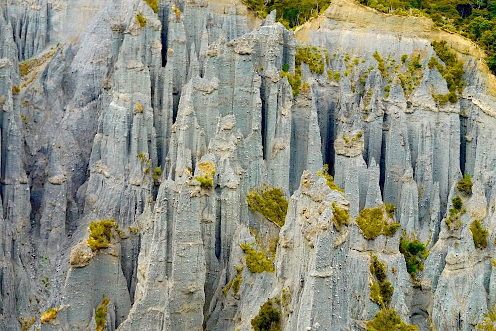Putangirua Pinnacles - beste & imposantestes Beispiel von Badlands in Neuseeland