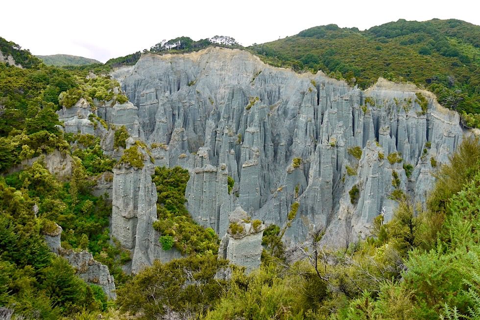Putangirua Pinnacles oder Herr der Ringe Felstürme - Auf dem Weg zum Cape Palliser - Nordinsel, Neuseeland