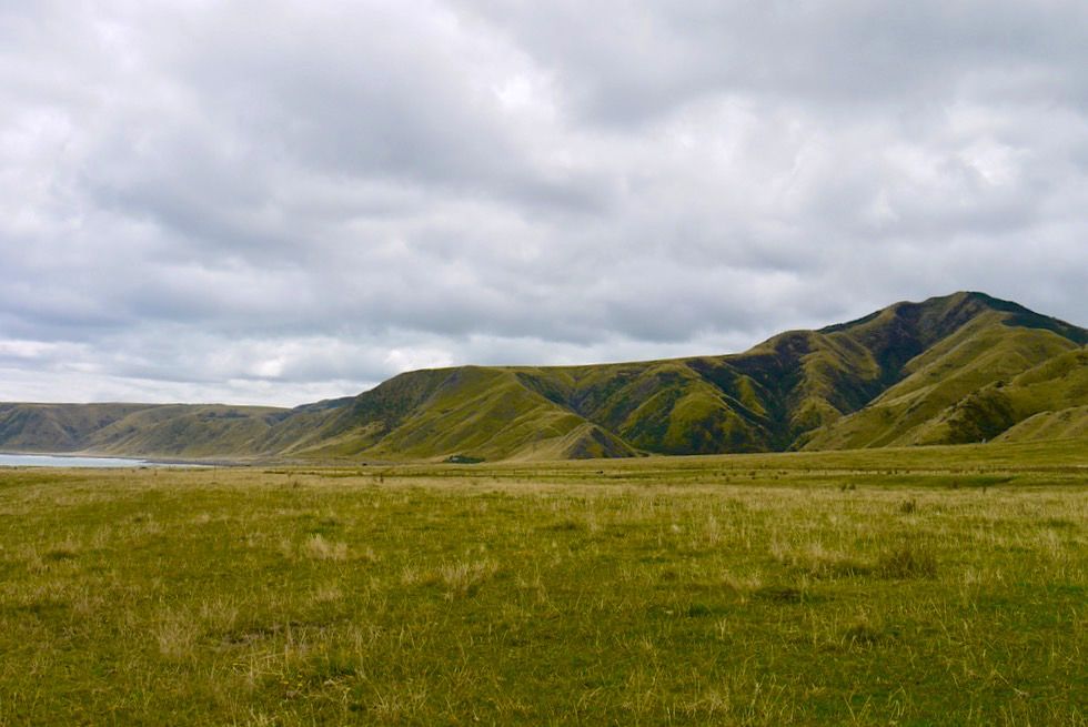Putangirua Pinnacles - Landschaft an der Südküste & Zufahrt zu den Felstürmen - Nordinsel, Neuseeland