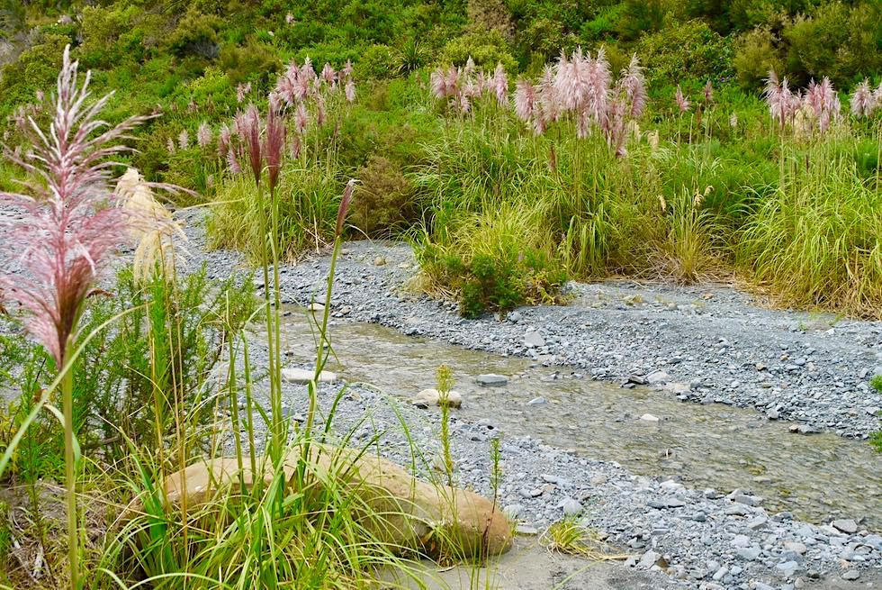 Putangirua Pinnacles - Schöne Wanderung entlang dem Flussbett zu den Felsnadeln - Südküste Nordinsel, Neuseeland