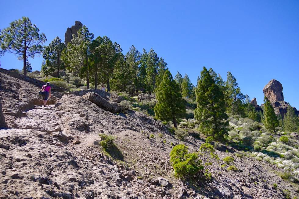 Roque Nublo Wanderung von La Goleta ausgehend - Gran Canaria