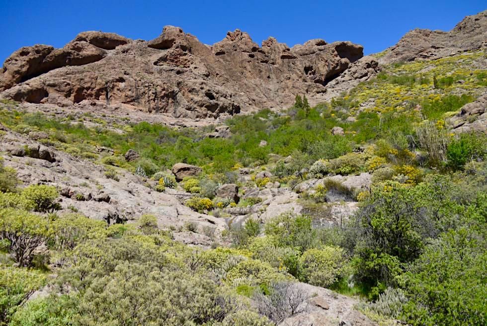 Roque Nublo Wanderung entlang den Ausläufern des Lomo del Aserrador - Gran Canaria