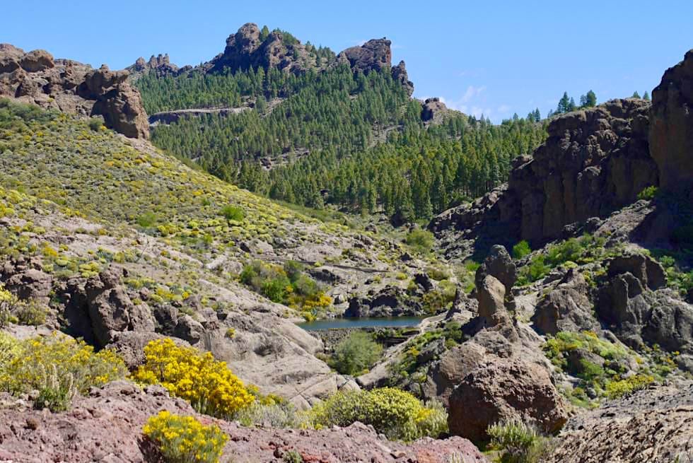 Roque Nublo Wanderung - an den Wänden des Lomo del Aserrador entlang - Gran Canaria