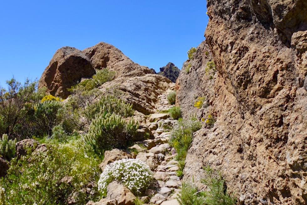 Roque Nublo Wanderung - Schöner Wanderweg nach Aserrador - Gran Canaria