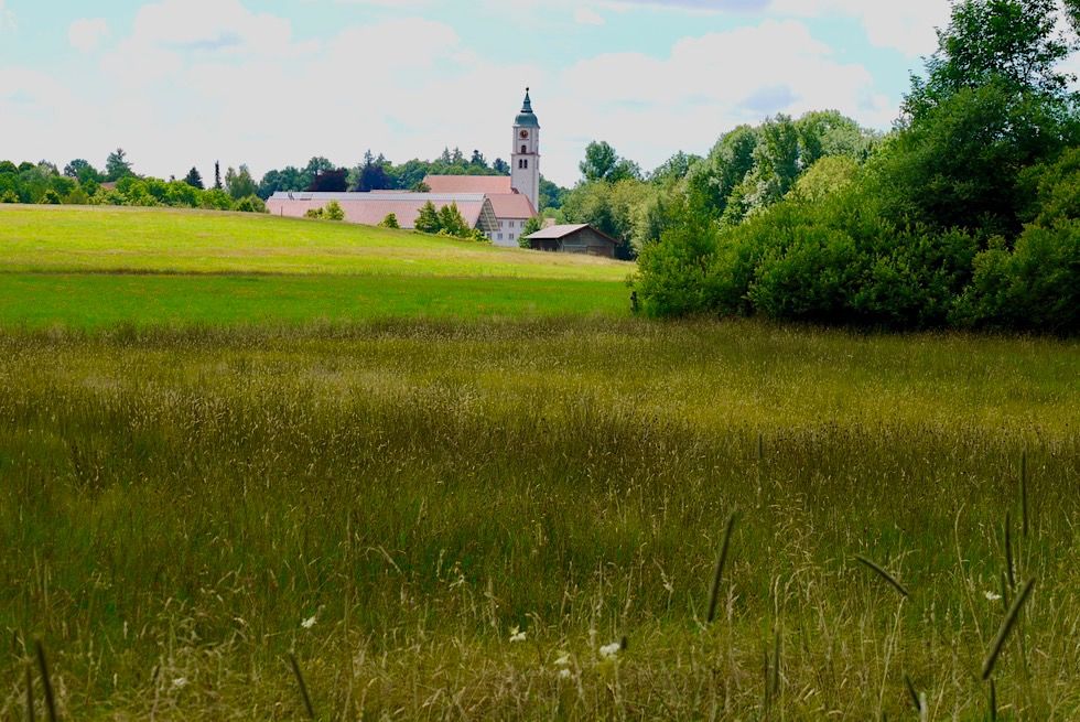 Wurzacher Ried - Streuwiesen bei Bad Wurzach - Randgebiete des Hochmoors - Baden-Württemberg