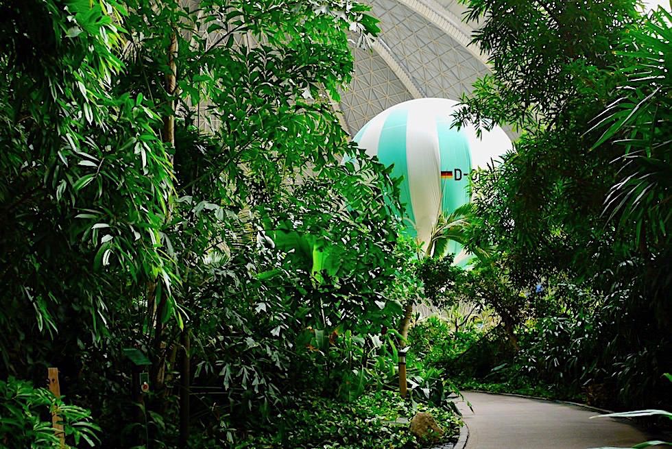 Tropical Islands - Echter Regenwald mit 600 verschiedenen Pflanzenarten - Brandenburg 