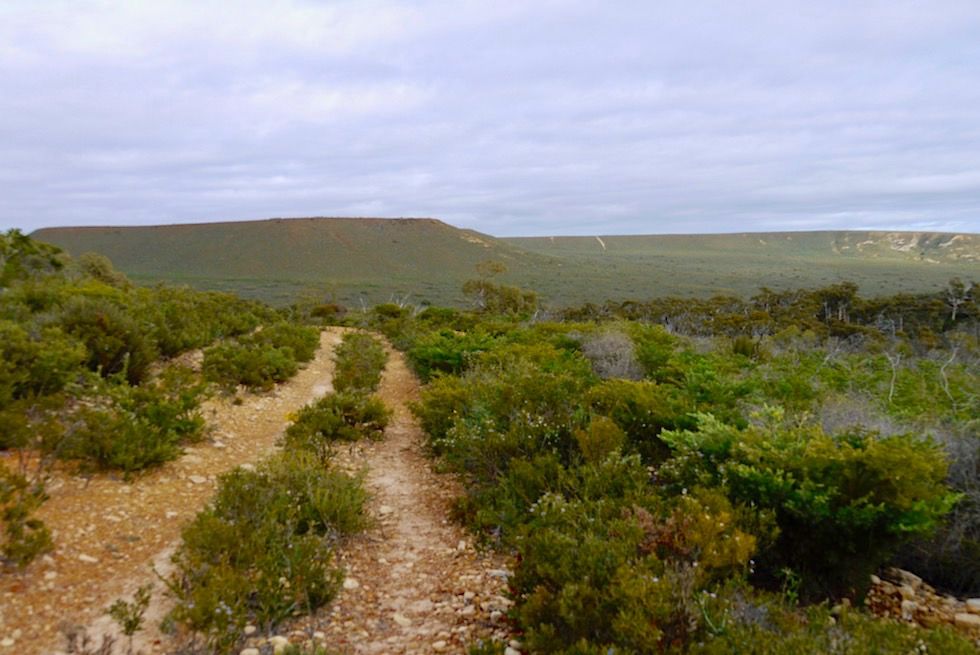 Wanderweg zum Mt Lesueur - Western Australia