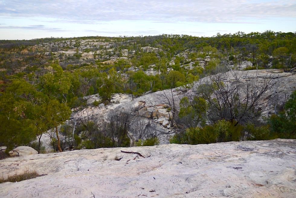 White Mountains National Park in der Nähe von Hughenden - Park mit den meisten Pflanzenarten in Queensland