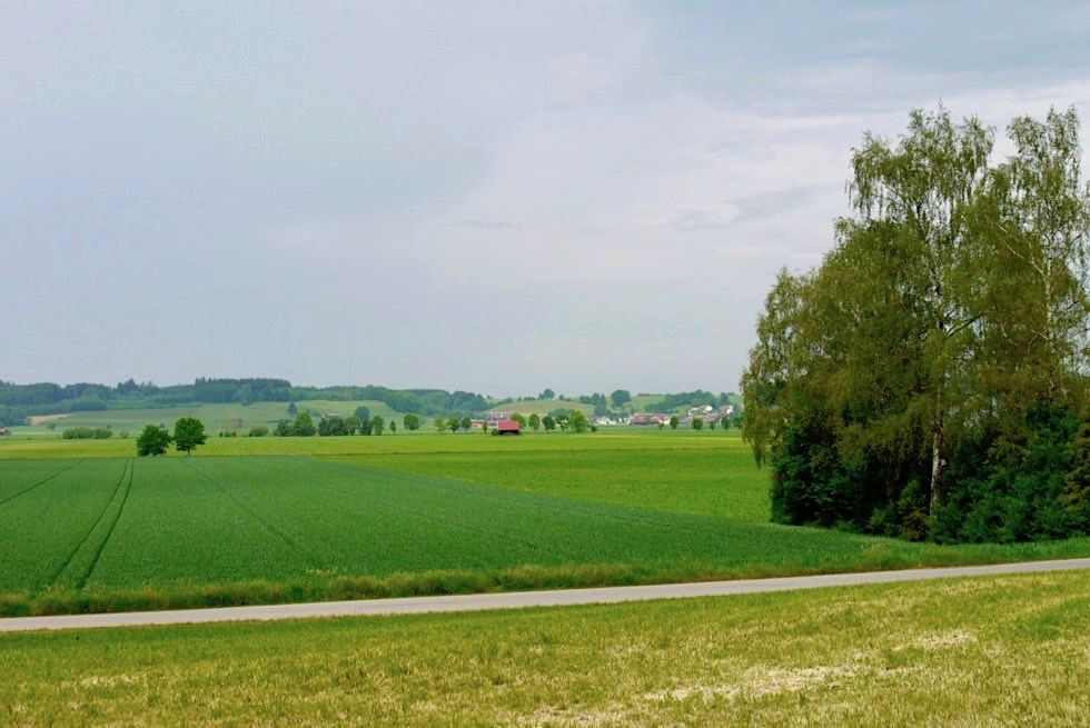 Wiesengänger Etappe 02 - idyllisch gelegene Dörfer: mal nah mal fern - Wandertrilogie Allgäu - Bayern 